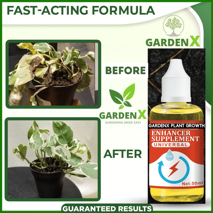 PLANT GROWTH ENHANCER SUPPLEMENT (BUY 1 GET 2 FREE)